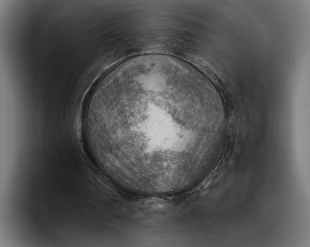 X0000096690290200802191434