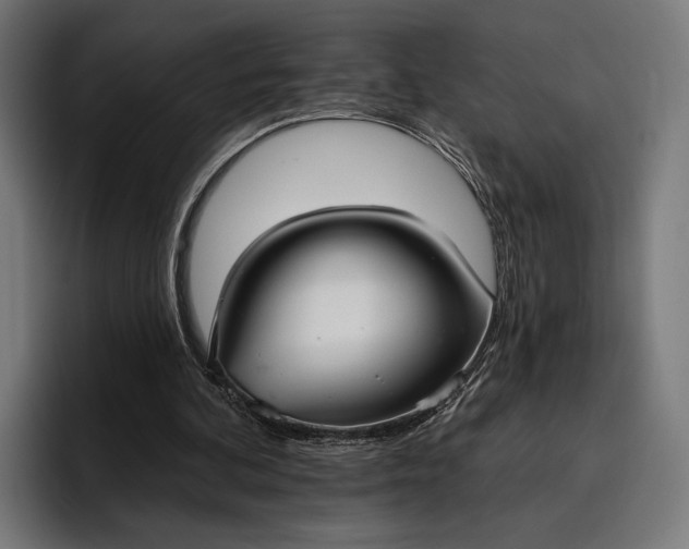 X0000096690292200802191434