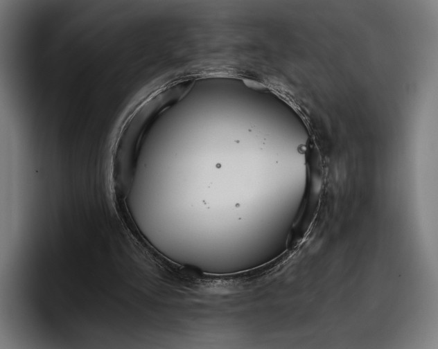 X0000096690293200802191434