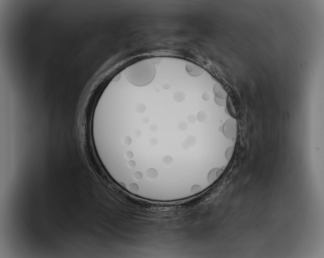 X0000096690295200802191433