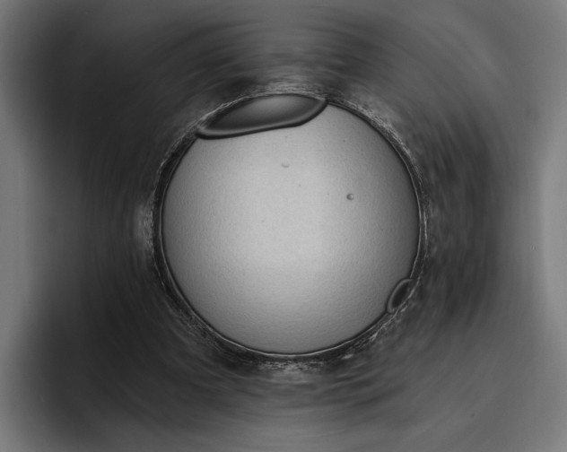 X0000096690297200802191433