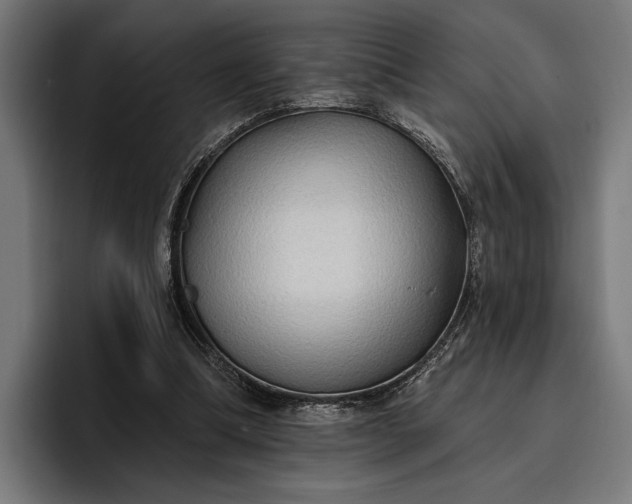 X0000096690298200802191433