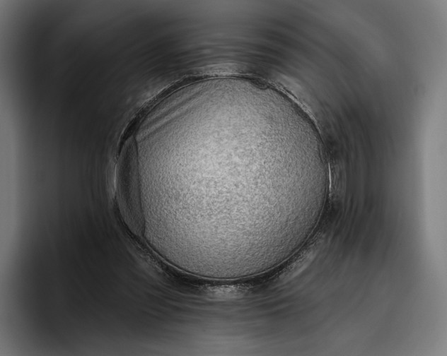 X0000096690301200802191433