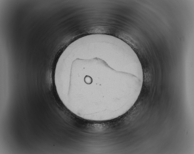 X0000096690302200802191433