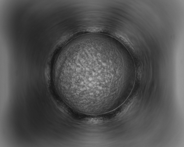 X0000096690303200802191433