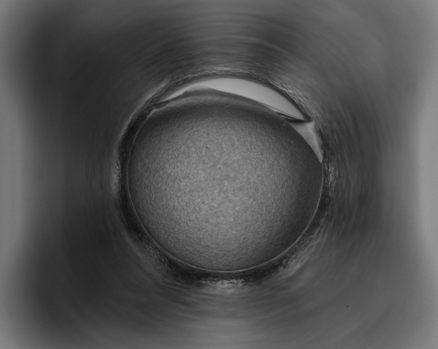 X0000096690304200802191433