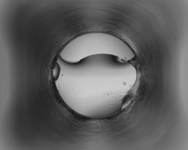 X0000096690305200802191433