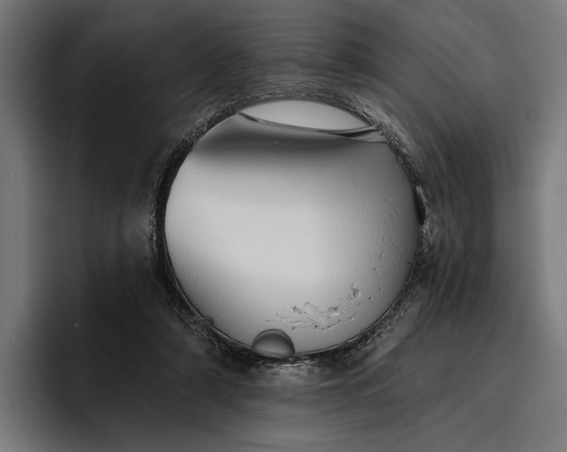 X0000096690306200802191433