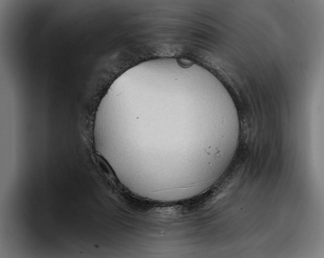 X0000096690307200802191433