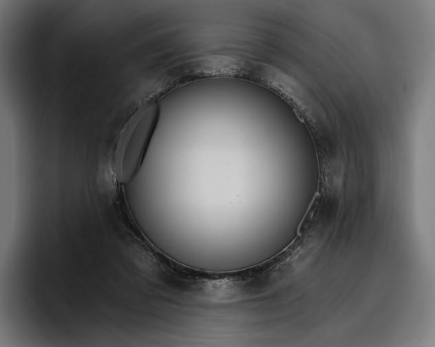 X0000096690309200802191433