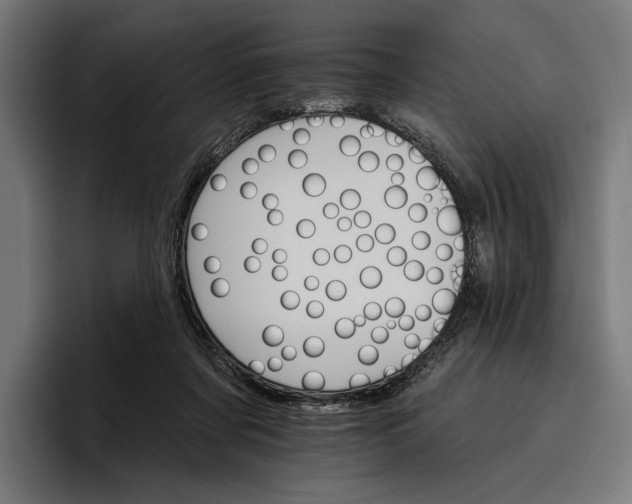 X0000096690311200802191433