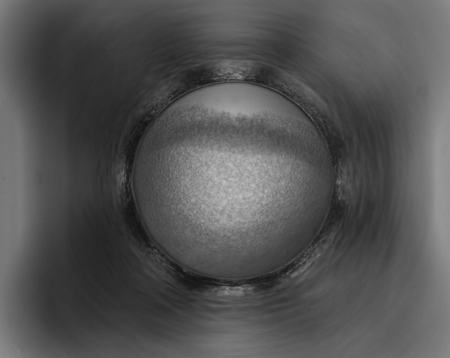 X0000096690314200802191433