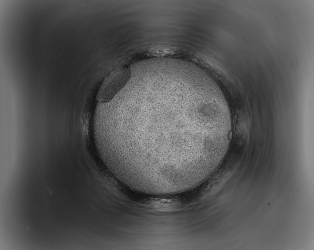 X0000096690315200802191433