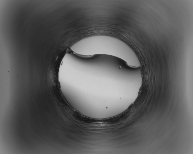 X0000096690316200802191433