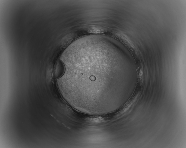 X0000096690322200802191433