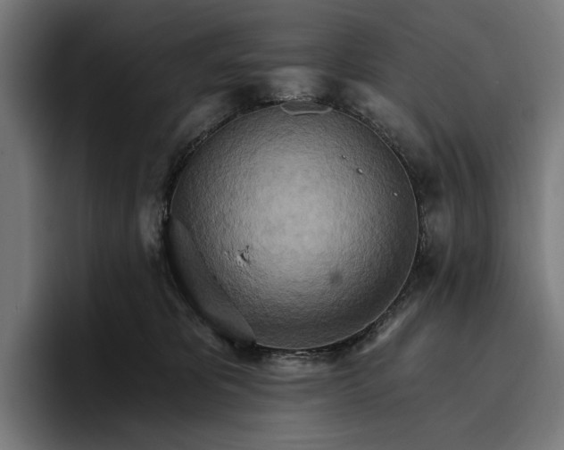 X0000096690325200802191433