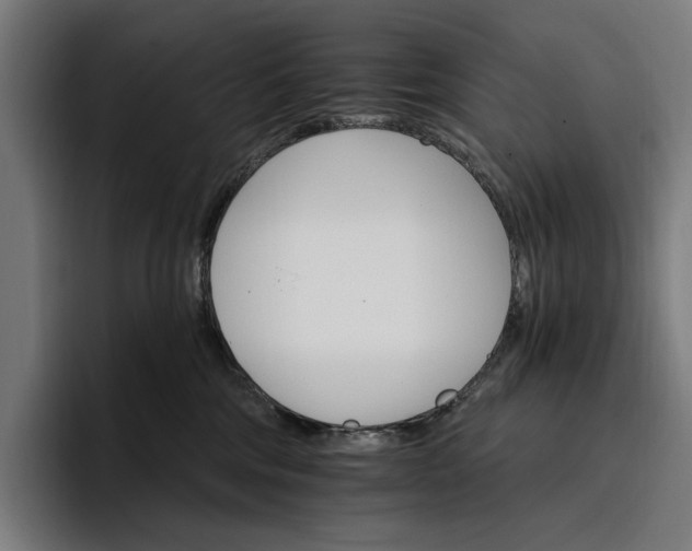 X0000096690330200802191433