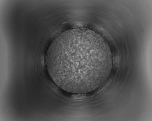 X0000096690331200802191433