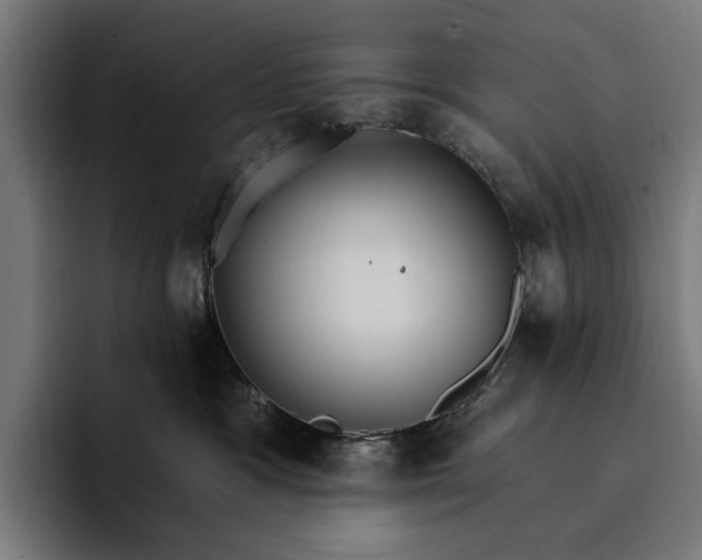 X0000096690333200802191433