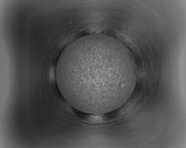 X0000096690335200802191433