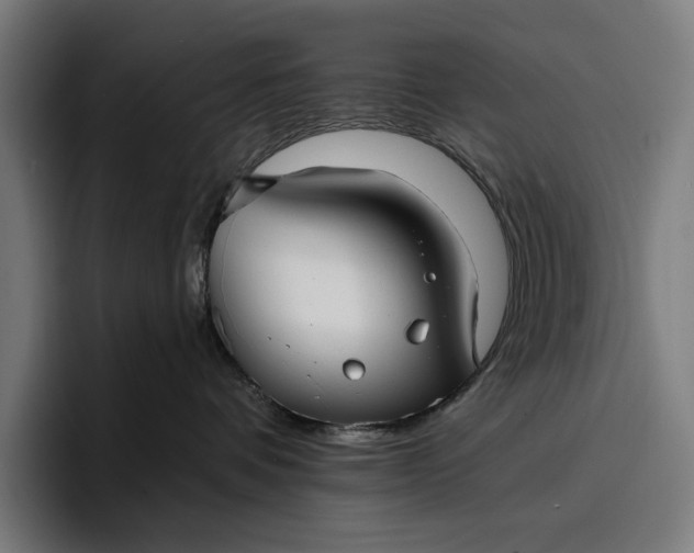 X0000096690336200802191433