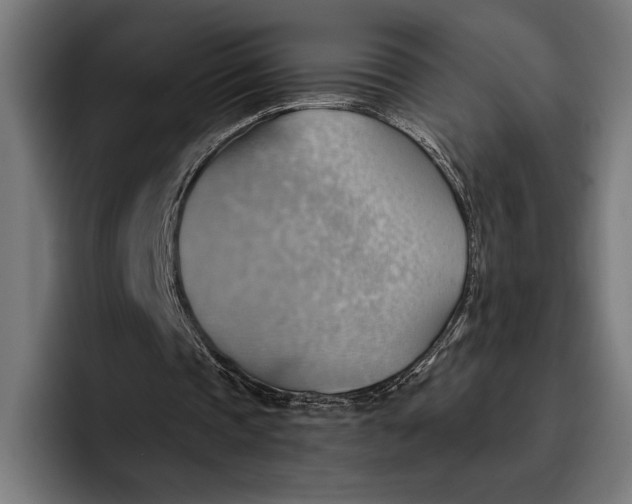 X0000096690337200802191432