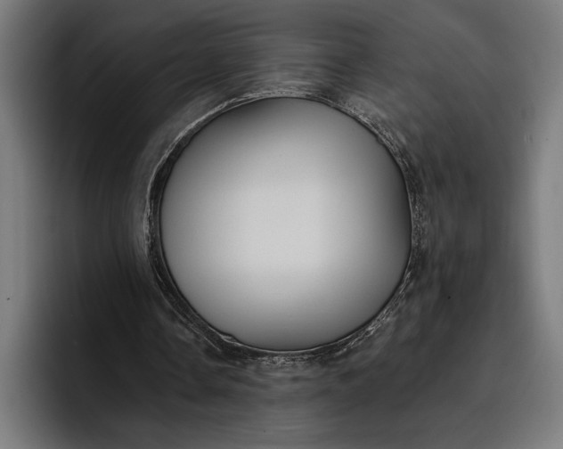 X0000096690338200802191432