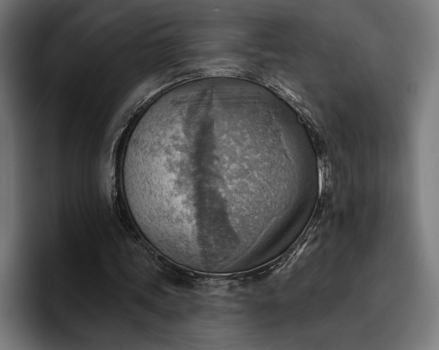 X0000096690339200802191432