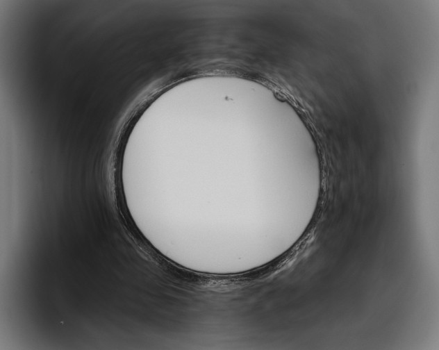 X0000096690341200802191432