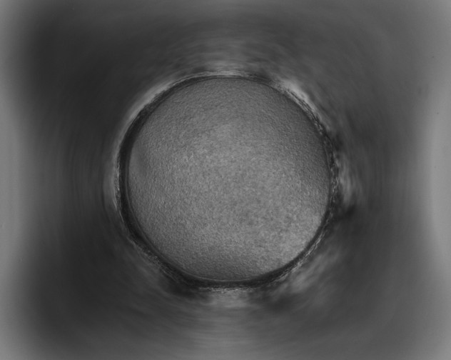 X0000096690342200802191432