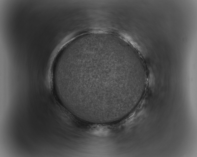 X0000096690343200802191432