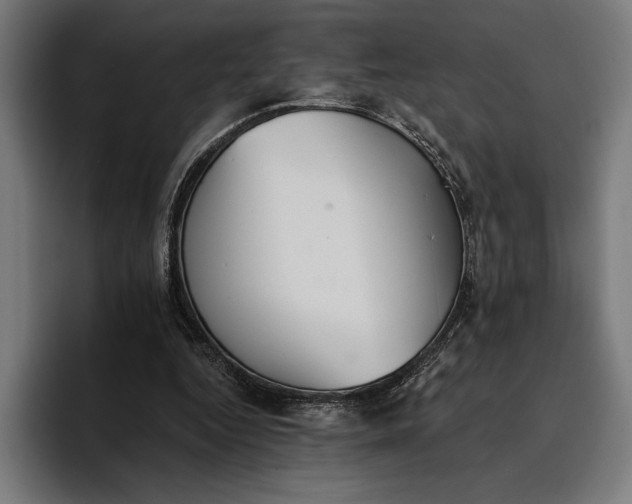 X0000096690344200802191432