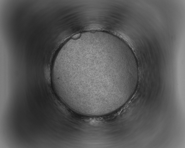 X0000096690345200802191432