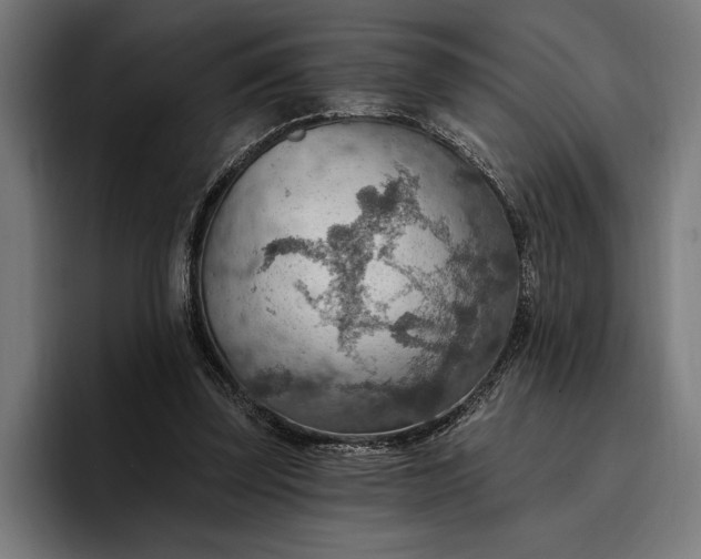 X0000096690347200802191432