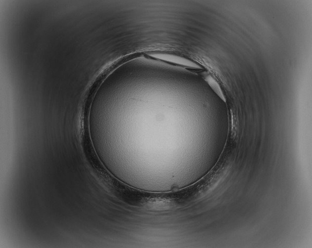 X0000096690348200802191432