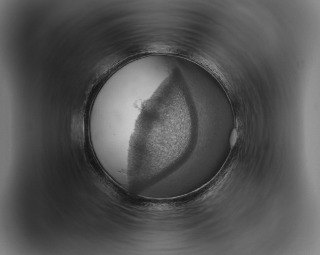 X0000096690349200802191432