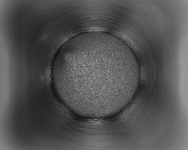 X0000096690351200802191433