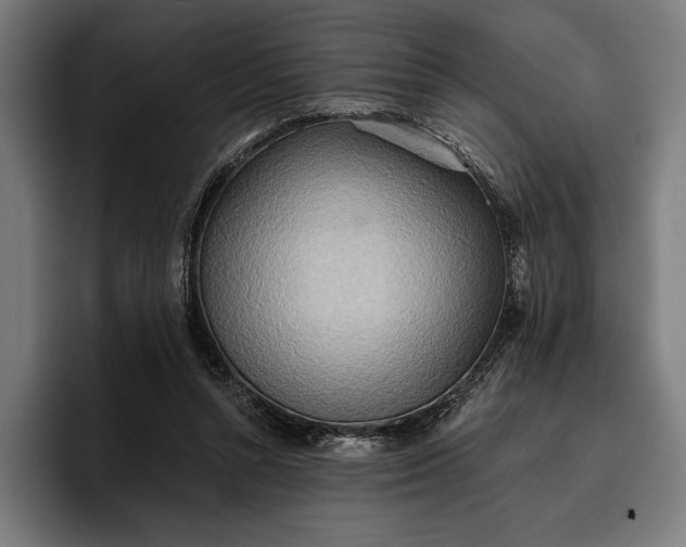 X0000096690352200802191433