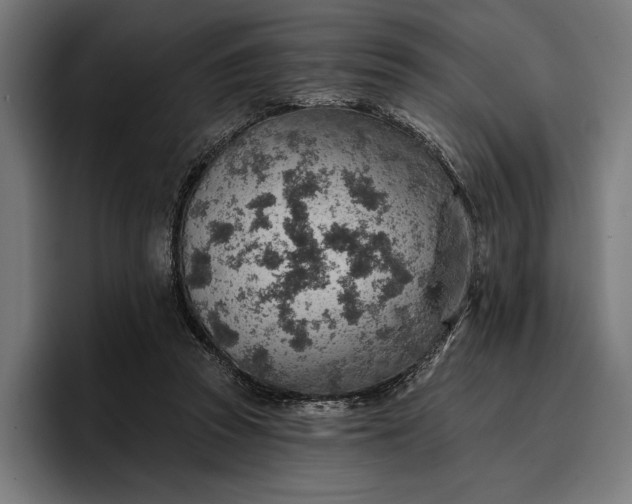 X0000096690353200802191433