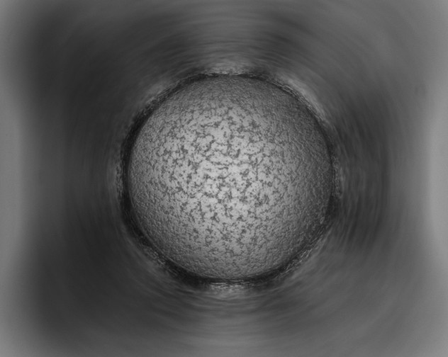 X0000096690354200802191433