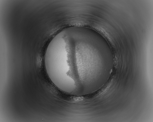 X0000096690355200802191433