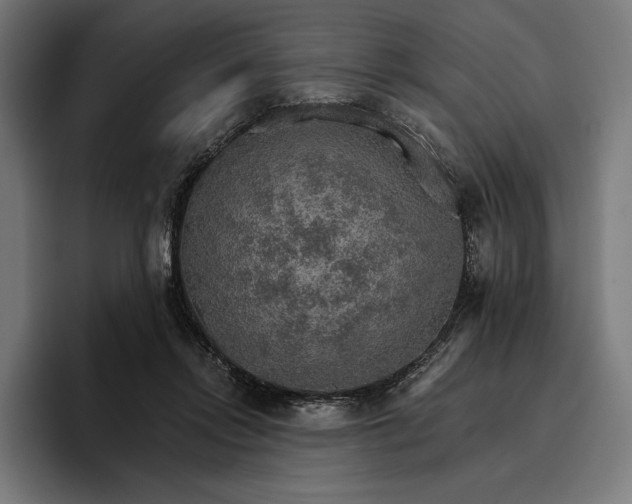 X0000096690358200802191433