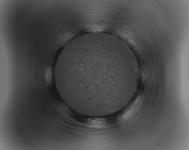 X0000096690359200802191433