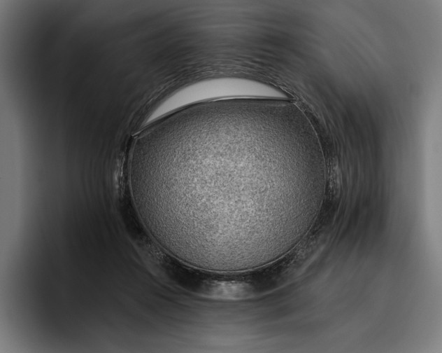 X0000096690360200802191433