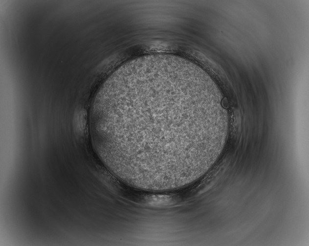 X0000096690361200802191433