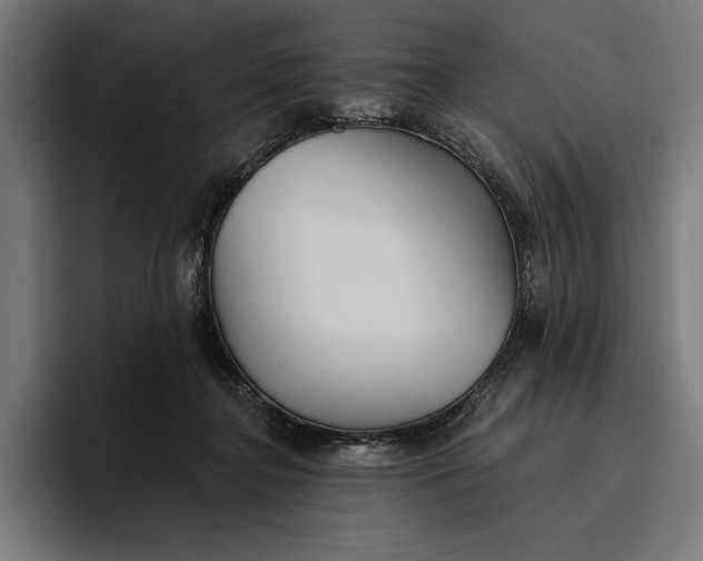 X0000096690364200802191433