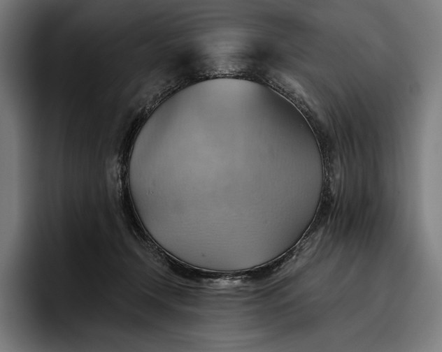 X0000096690366200802191433