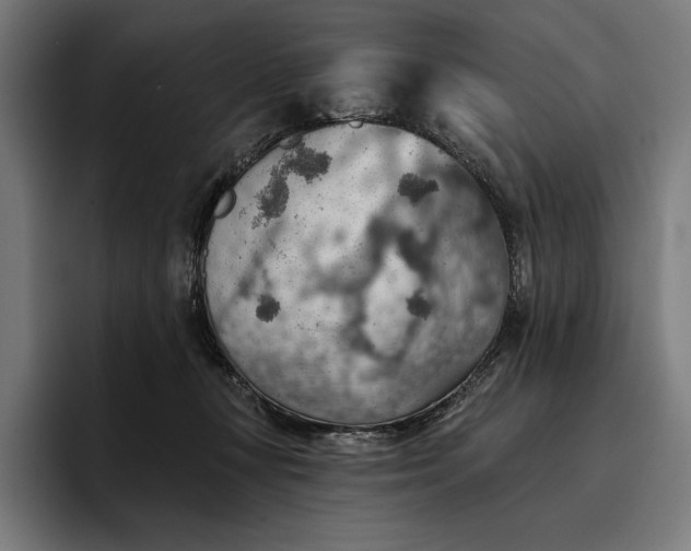 X0000096690367200802191433