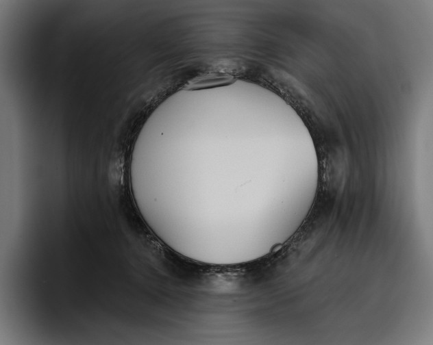 X0000096690368200802191433