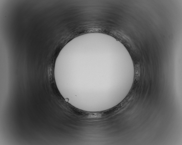 X0000096690369200802191433